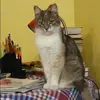 Отзыв от Римма Леонтьева